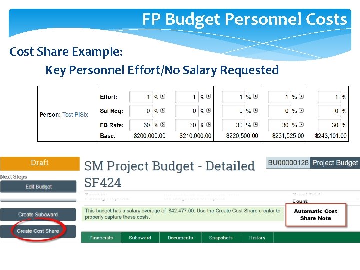 FP Budget Personnel Costs Cost Share Example: Key Personnel Effort/No Salary Requested 