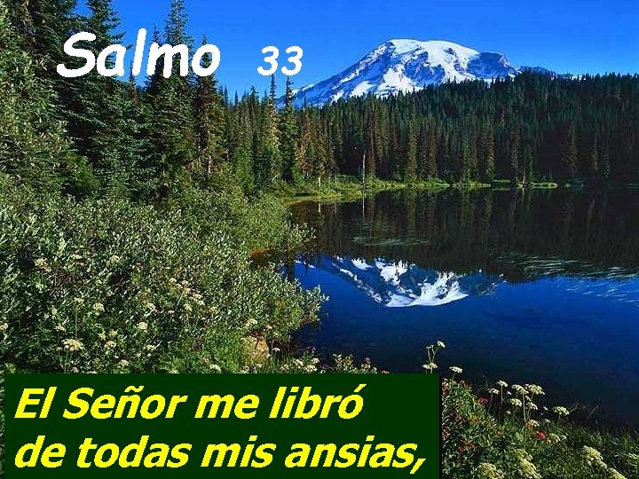 Salmo 33 El Señor me libró de todas mis ansias, 