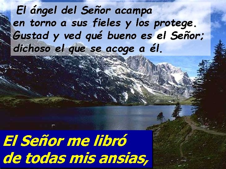 El ángel del Señor acampa en torno a sus fieles y los protege. Gustad
