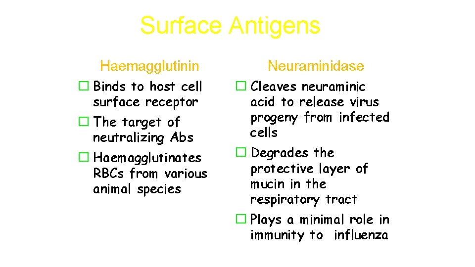 Surface Antigens Haemagglutinin � Binds to host cell surface receptor � The target of