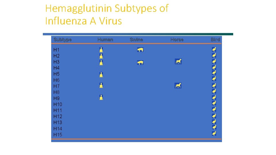 Hemagglutinin Subtypes of Influenza A Virus Subtype H 1 H 2 H 3 H