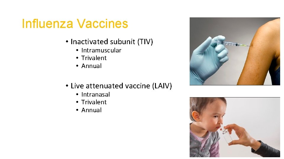 Influenza Vaccines • Inactivated subunit (TIV) • Intramuscular • Trivalent • Annual • Live