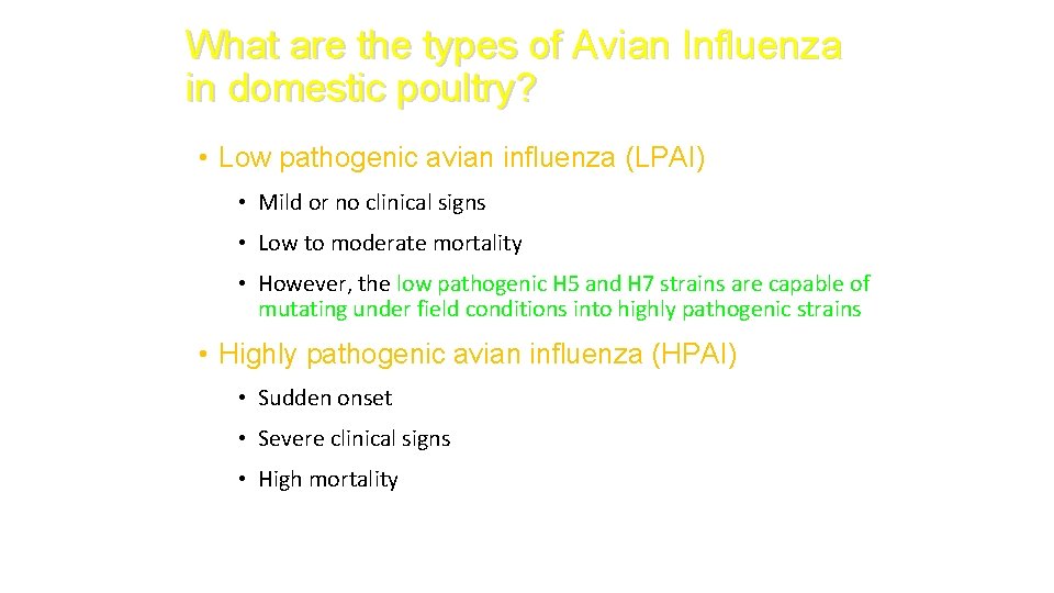 What are the types of Avian Influenza in domestic poultry? • Low pathogenic avian