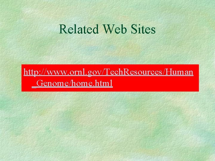 Related Web Sites http: //www. ornl. gov/Tech. Resources/Human _Genome/home. html 