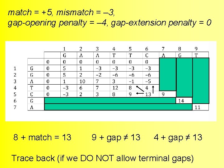 match = +5, mismatch = – 3, gap-opening penalty = – 4, gap-extension penalty