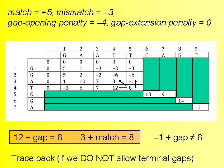 match = +5, mismatch = – 3, gap-opening penalty = – 4, gap-extension penalty