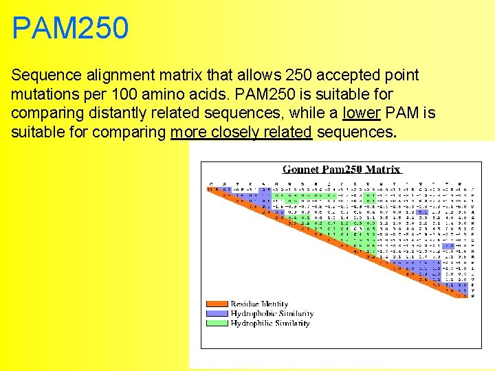 PAM 250 Sequence alignment matrix that allows 250 accepted point mutations per 100 amino