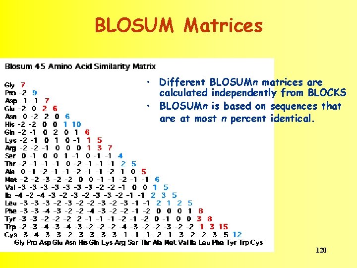 BLOSUM Matrices • Different BLOSUMn matrices are calculated independently from BLOCKS • BLOSUMn is