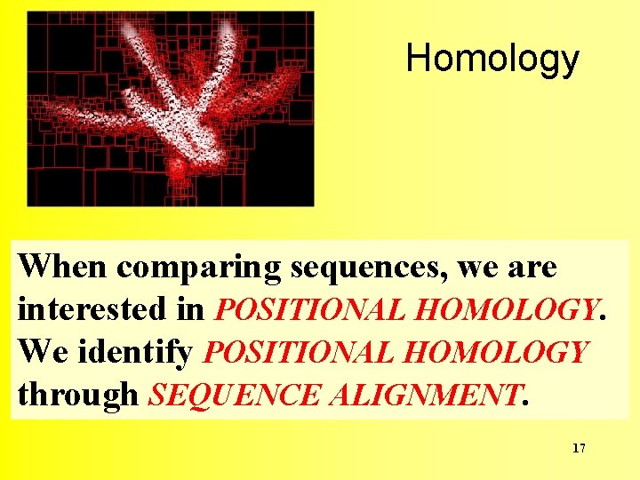 Homology When comparing sequences, we are interested in POSITIONAL HOMOLOGY. We identify POSITIONAL HOMOLOGY