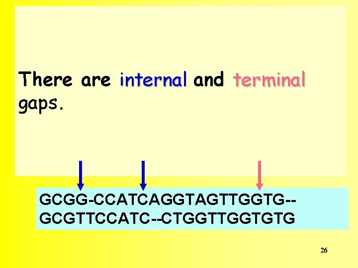 There are internal and terminal gaps. GCGG-CCATCAGGTAGTTGGTG-GCGTTCCATC--CTGGTGTG 26 