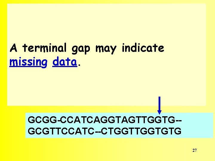 A terminal gap may indicate missing data. GCGG-CCATCAGGTAGTTGGTG-GCGTTCCATC--CTGGTGTG 27 