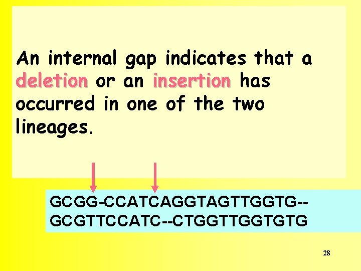 An internal gap indicates that a deletion or an insertion has occurred in one