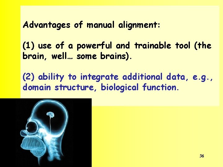 Advantages of manual alignment: (1) use of a powerful and trainable tool (the brain,