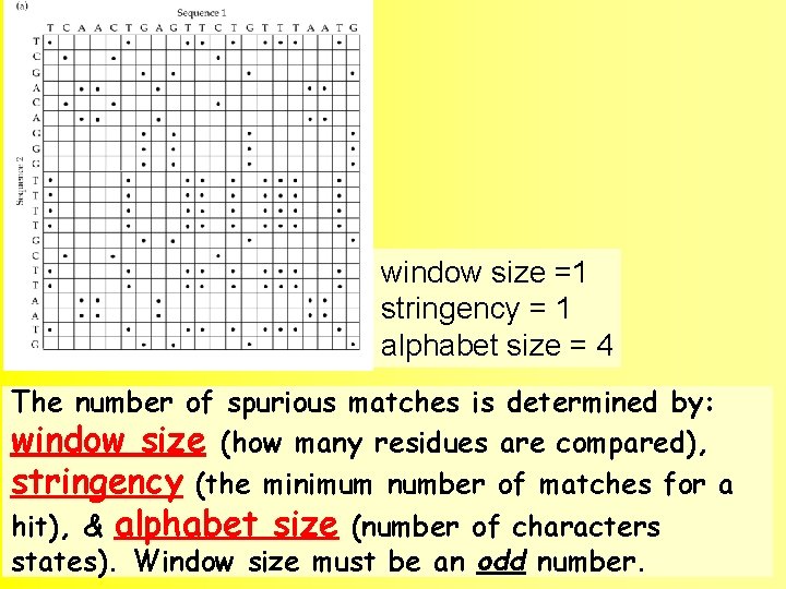 window size =1 stringency = 1 alphabet size = 4 The number of spurious