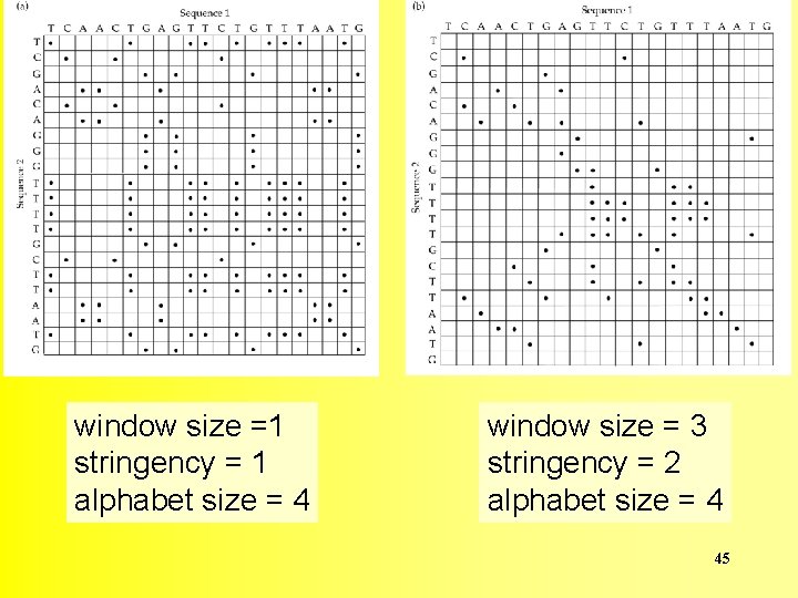 window size =1 stringency = 1 alphabet size = 4 window size = 3