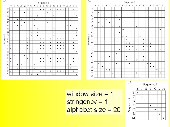 window size = 1 stringency = 1 alphabet size = 20 46 