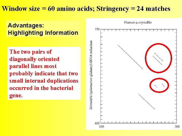 Window size = 60 amino acids; Stringency = 24 matches Advantages: Highlighting Information The