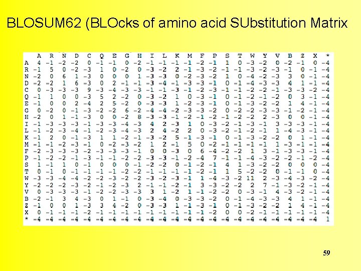 BLOSUM 62 (BLOcks of amino acid SUbstitution Matrix 59 