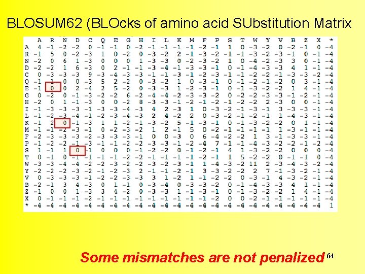 BLOSUM 62 (BLOcks of amino acid SUbstitution Matrix Some mismatches are not penalized 64