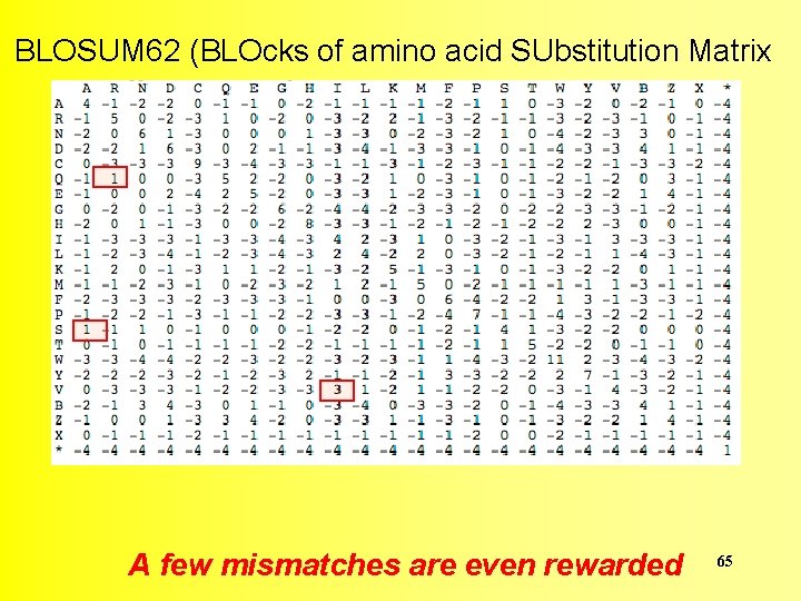 BLOSUM 62 (BLOcks of amino acid SUbstitution Matrix A few mismatches are even rewarded