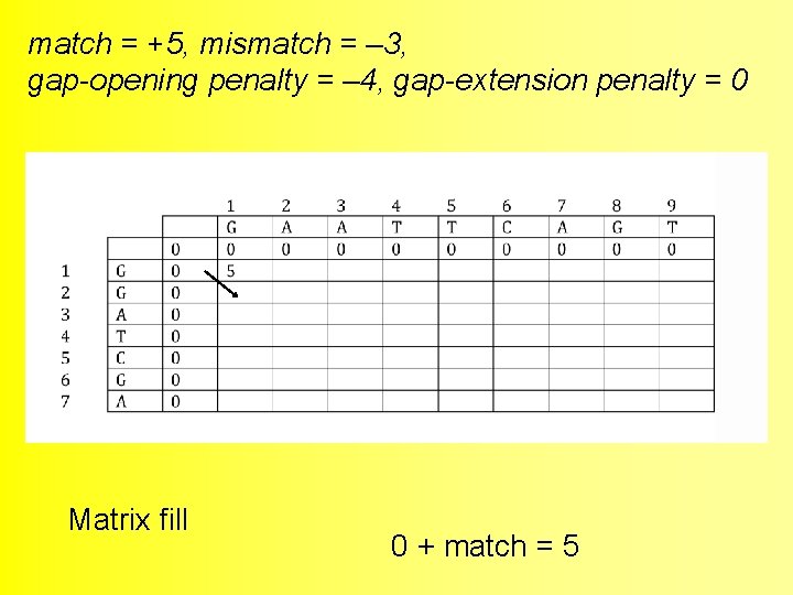 match = +5, mismatch = – 3, gap-opening penalty = – 4, gap-extension penalty