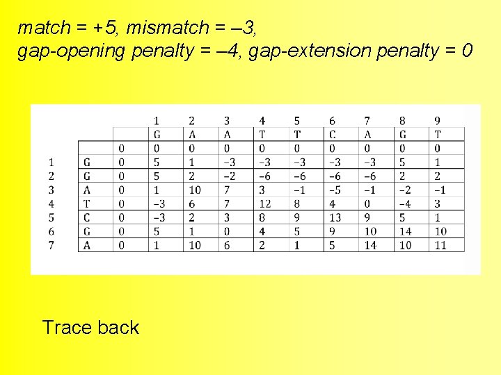 match = +5, mismatch = – 3, gap-opening penalty = – 4, gap-extension penalty