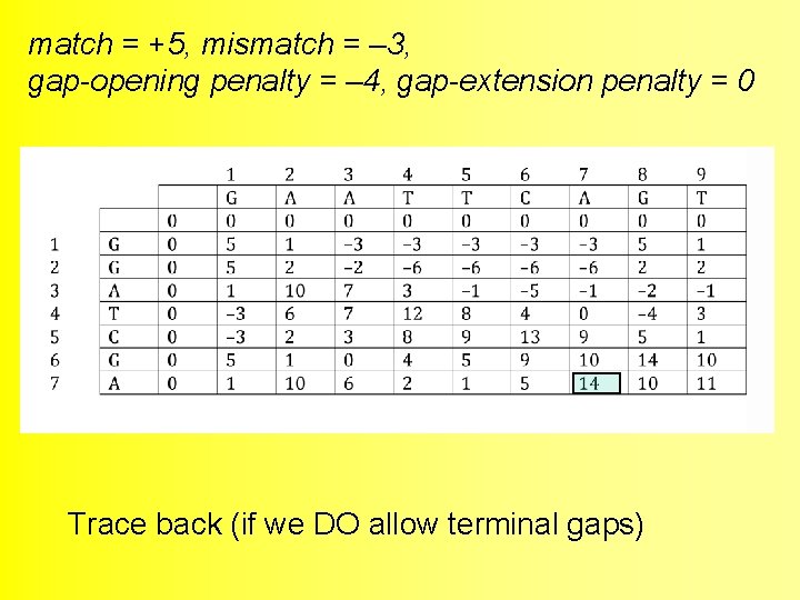 match = +5, mismatch = – 3, gap-opening penalty = – 4, gap-extension penalty