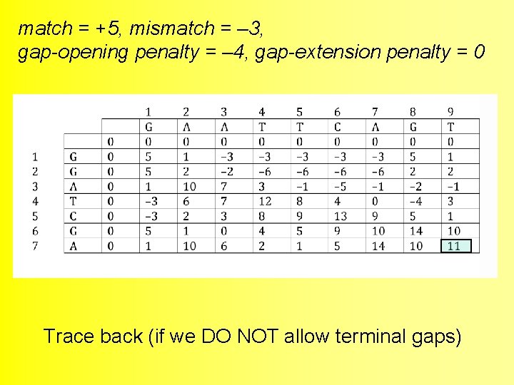 match = +5, mismatch = – 3, gap-opening penalty = – 4, gap-extension penalty