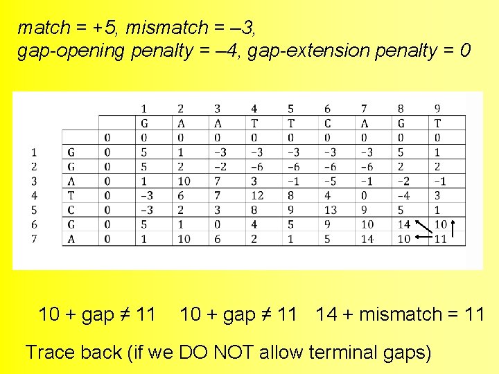match = +5, mismatch = – 3, gap-opening penalty = – 4, gap-extension penalty