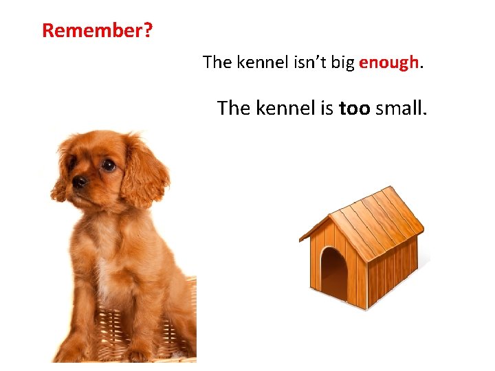 Remember? The kennel isn’t big enough. The kennel is too small. 