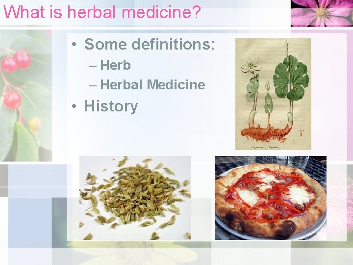 What is herbal medicine? • Some definitions: – Herbal Medicine • History 