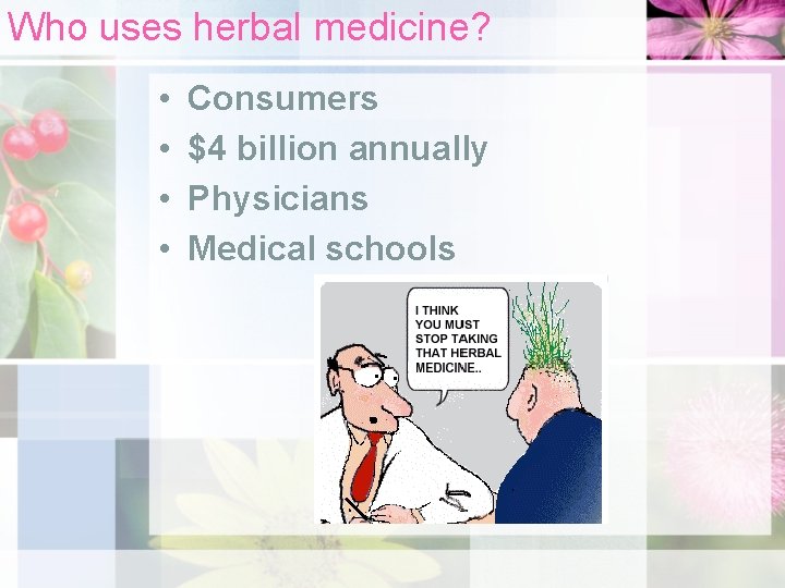 Who uses herbal medicine? • • Consumers $4 billion annually Physicians Medical schools 
