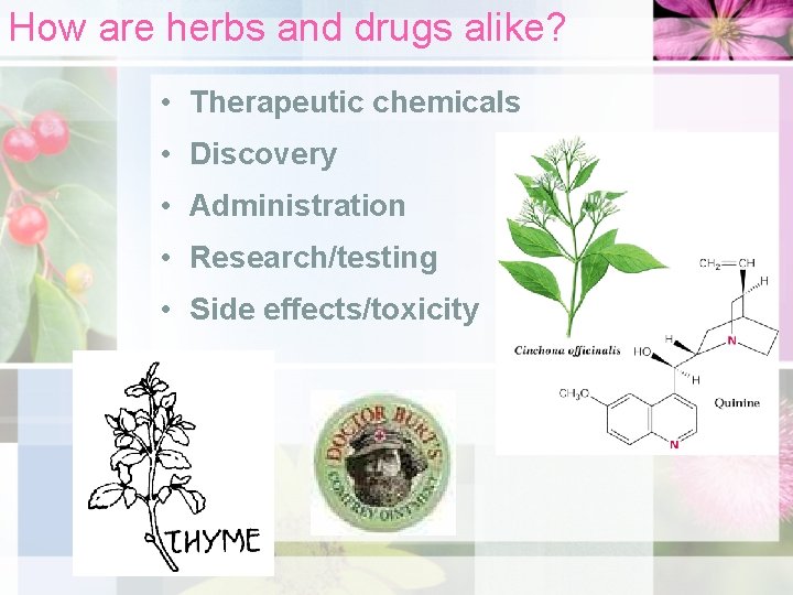 How are herbs and drugs alike? • Therapeutic chemicals • Discovery • Administration •