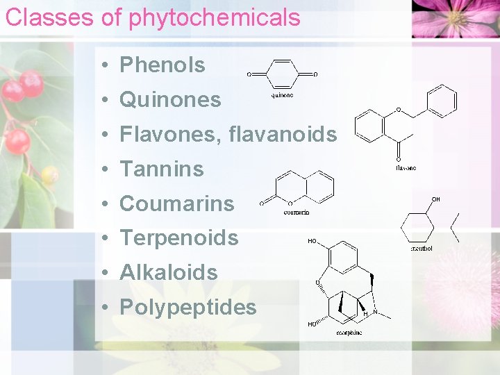 Classes of phytochemicals • Phenols • Quinones • Flavones, flavanoids • Tannins • Coumarins