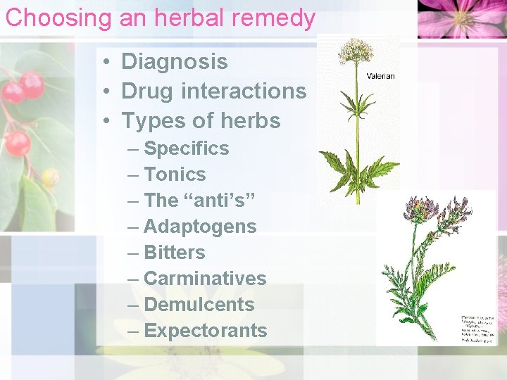 Choosing an herbal remedy • Diagnosis • Drug interactions • Types of herbs –