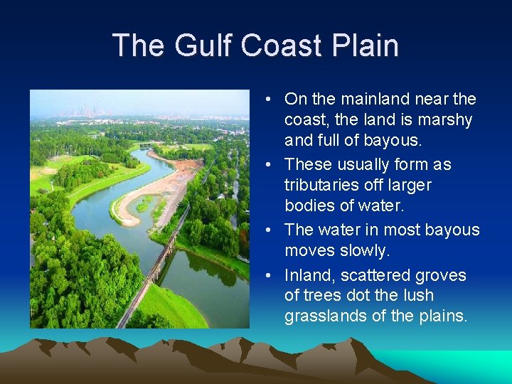 The Gulf Coast Plain • On the mainland near the coast, the land is