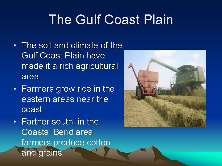 The Gulf Coast Plain • The soil and climate of the Gulf Coast Plain