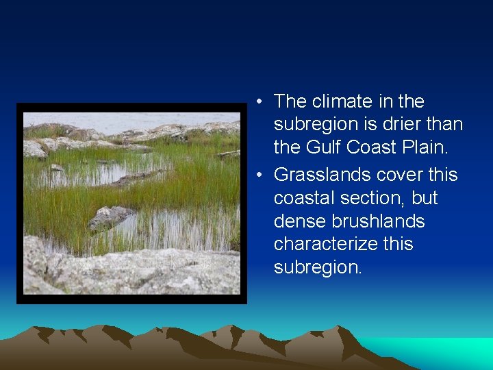  • The climate in the subregion is drier than the Gulf Coast Plain.