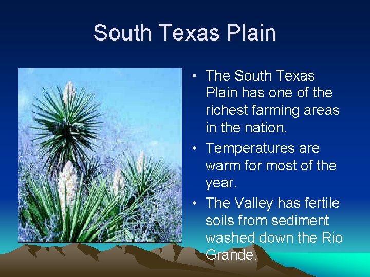 South Texas Plain • The South Texas Plain has one of the richest farming