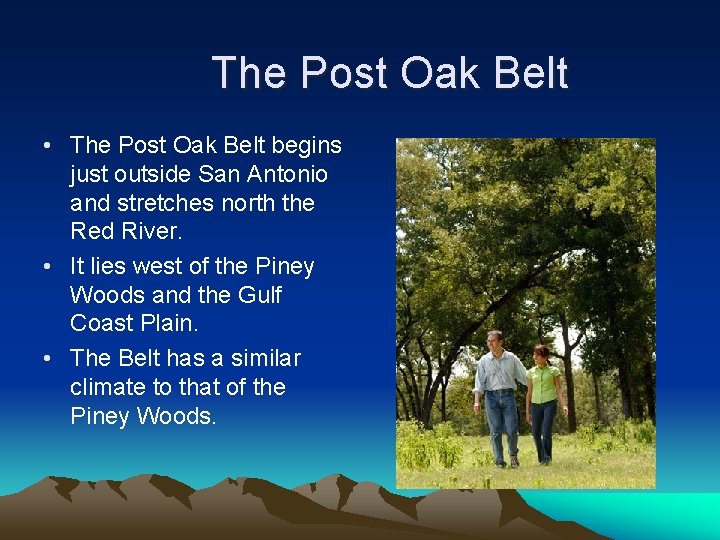 The Post Oak Belt • The Post Oak Belt begins just outside San Antonio