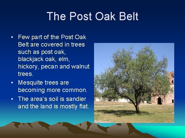The Post Oak Belt • Few part of the Post Oak Belt are covered