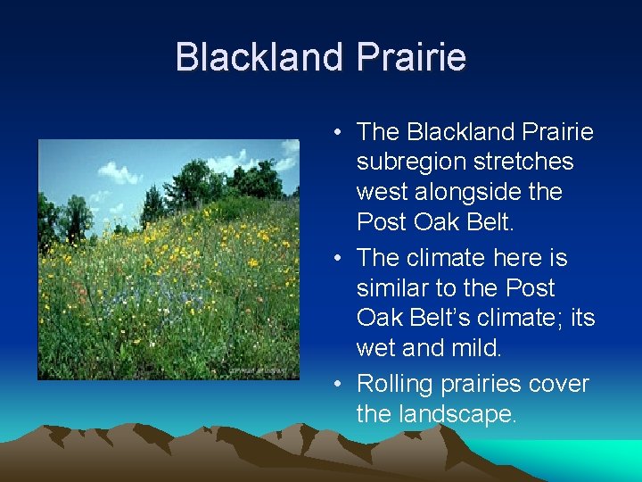 Blackland Prairie • The Blackland Prairie subregion stretches west alongside the Post Oak Belt.