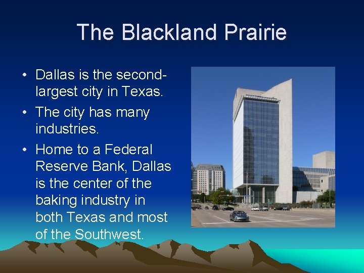 The Blackland Prairie • Dallas is the secondlargest city in Texas. • The city