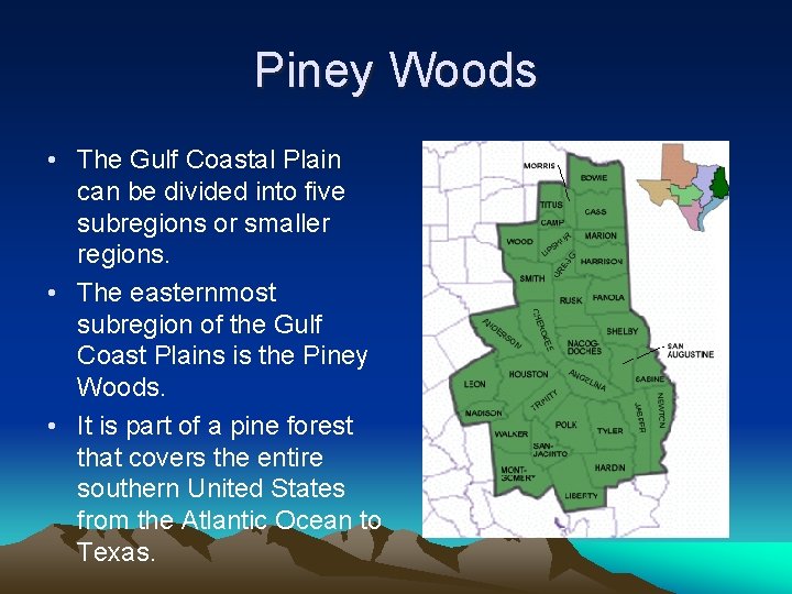 Piney Woods • The Gulf Coastal Plain can be divided into five subregions or