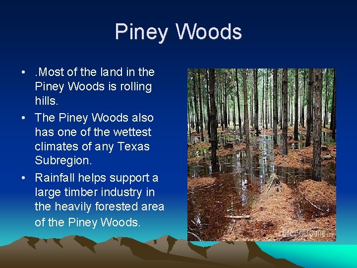Piney Woods • . Most of the land in the Piney Woods is rolling
