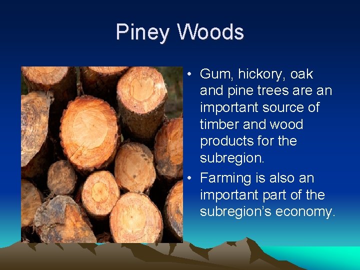 Piney Woods • Gum, hickory, oak and pine trees are an important source of