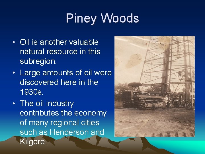 Piney Woods • Oil is another valuable natural resource in this subregion. • Large