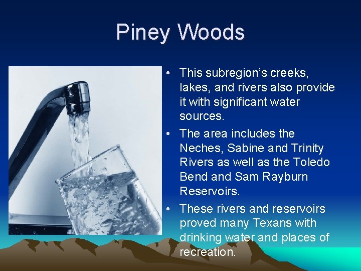 Piney Woods • This subregion’s creeks, lakes, and rivers also provide it with significant