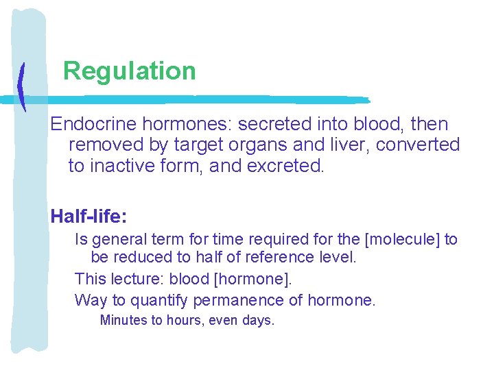 Regulation Endocrine hormones: secreted into blood, then removed by target organs and liver, converted