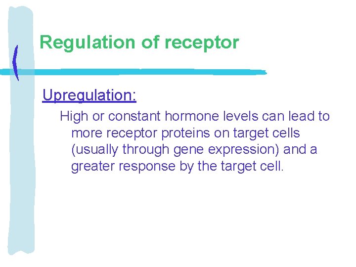 Regulation of receptor Upregulation: High or constant hormone levels can lead to more receptor